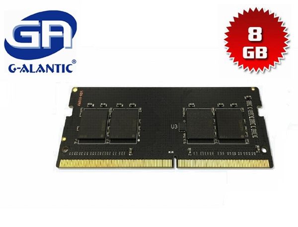 DD4240080S - 8GB Memory RAM