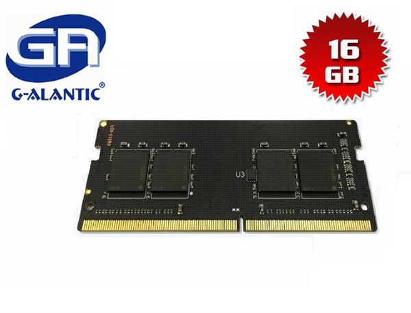 DD42400160S - 16GB Memory RA