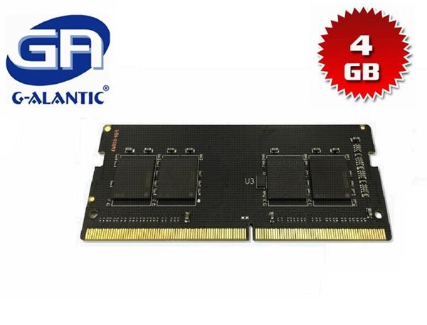 DD4240040S - 4GB Memory RAM