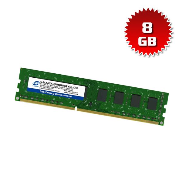DD3160080SL- 8GB Memory RAM