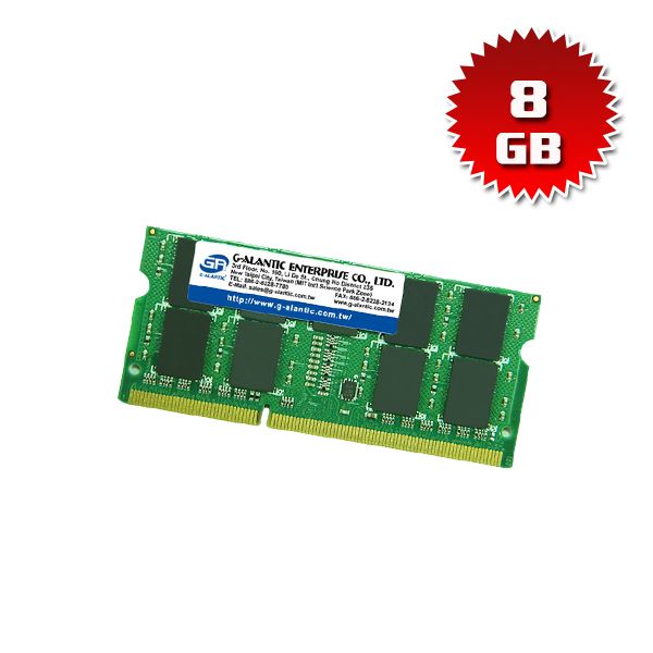 DD3160080SD - 8GB Memory RAM
